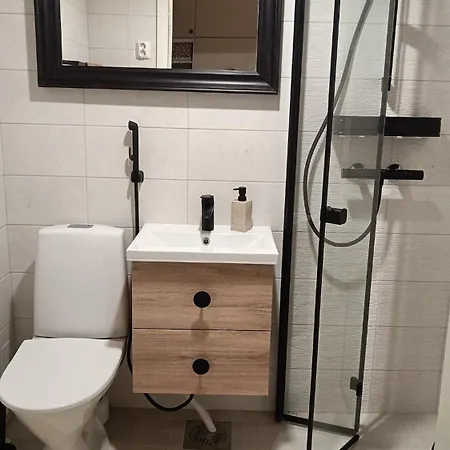 Cozy Apartament Savonlinna